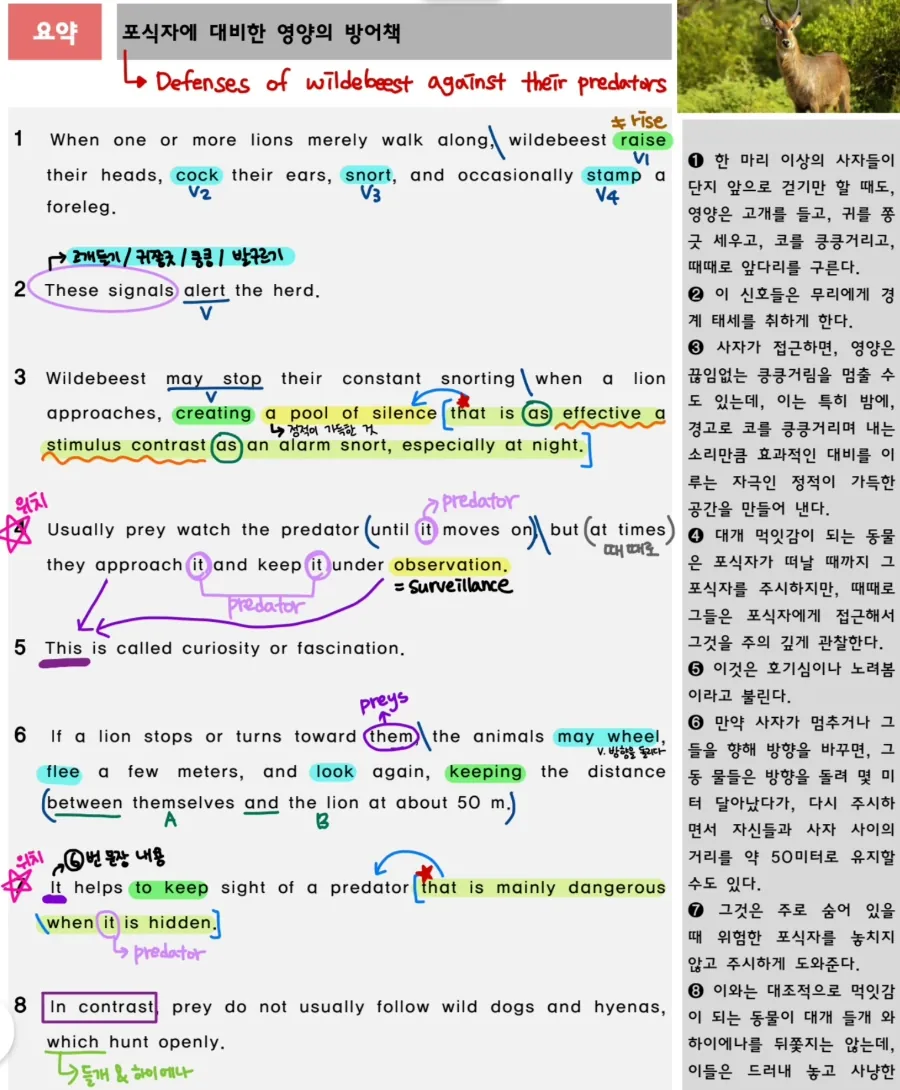 An English test sheet where each sentence’s verbs and pronoun references are colour-coded, with a translation in the margin